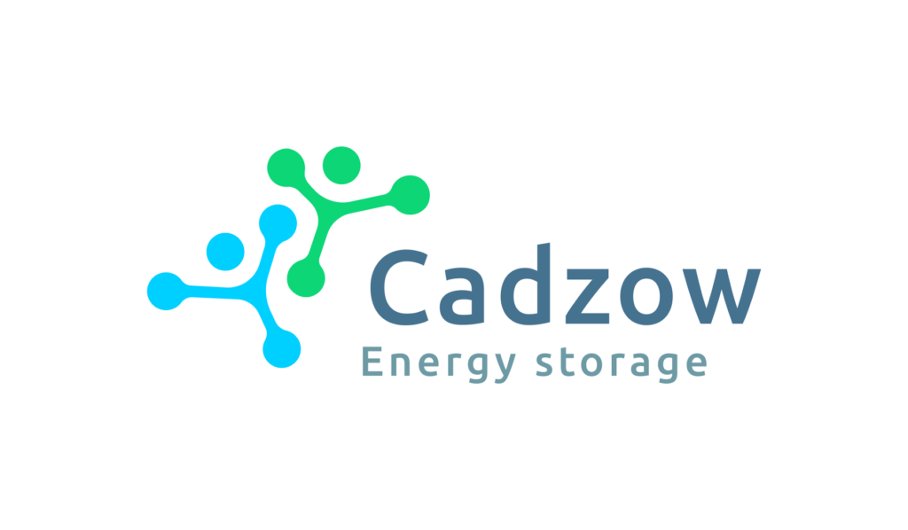 Cadzow Communications Consulting logo